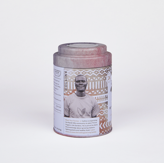 JusTea - Mt. Kenya Black Tea Bag Tin - Organic Fair-Trade Compostable