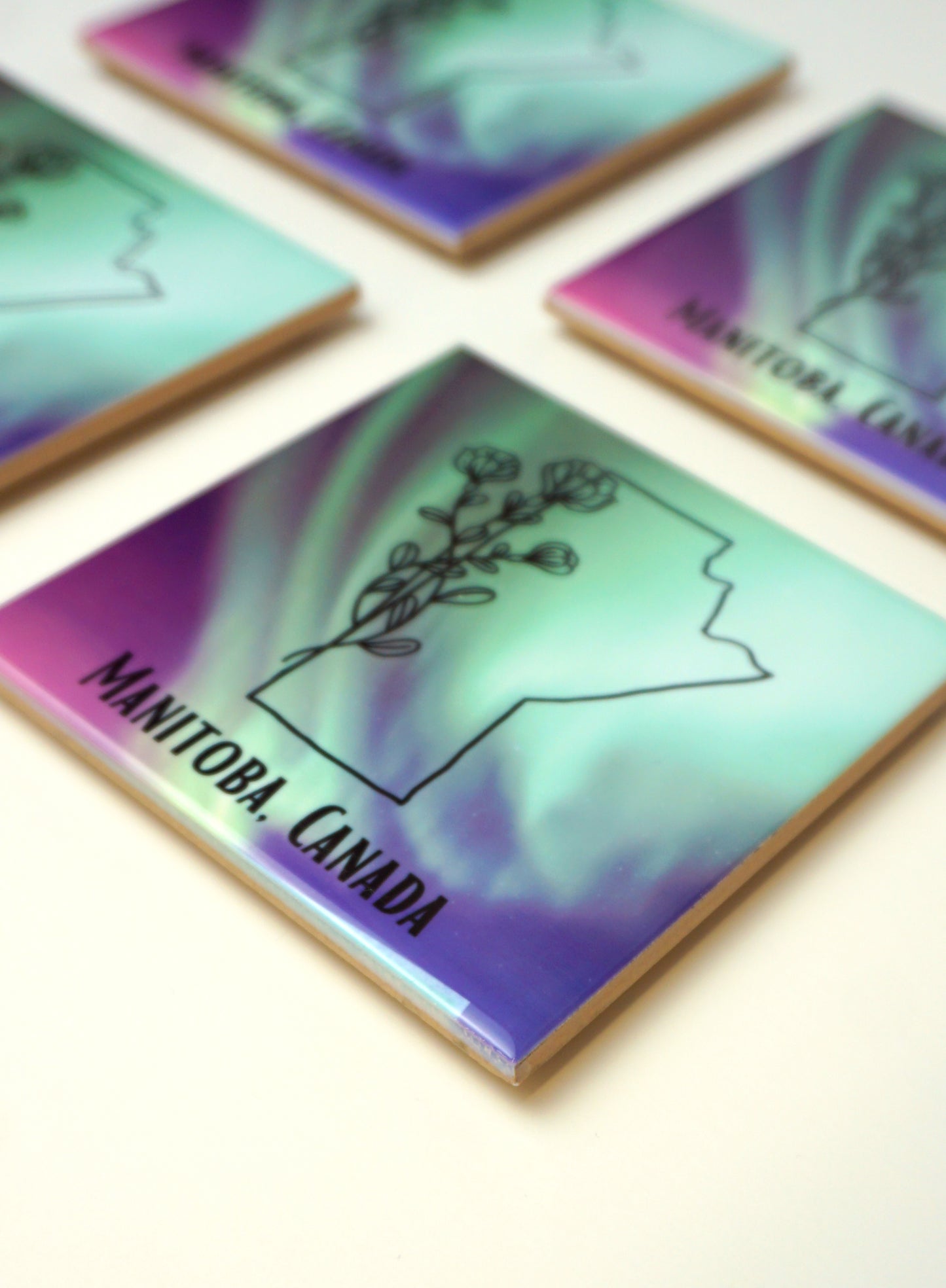 Manitoba Aurora Coaster