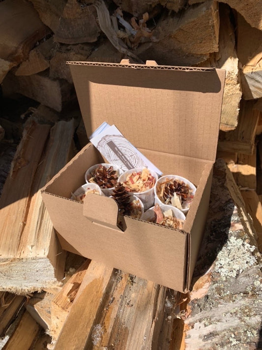 Pine Cone Fire Starter