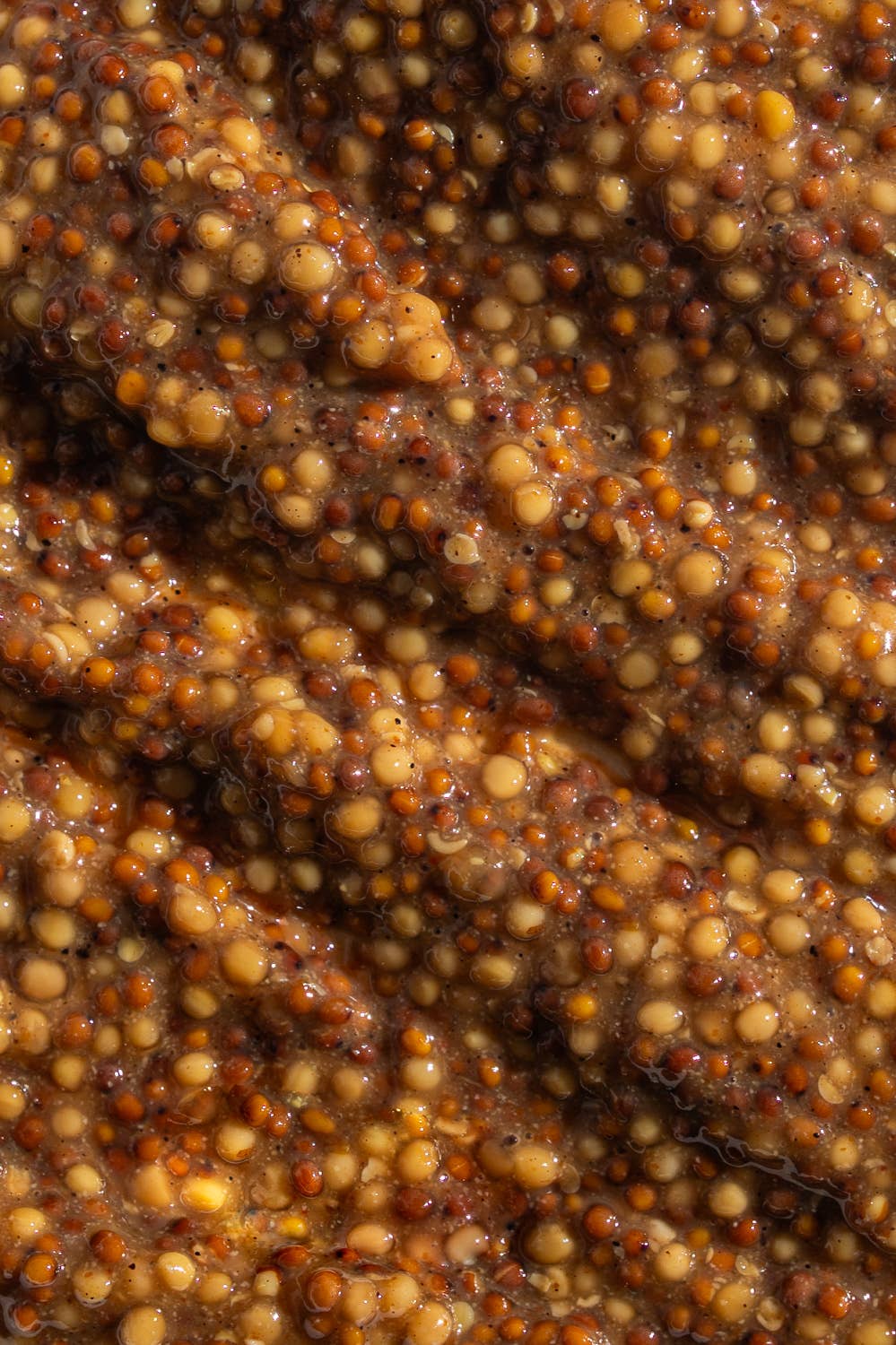 Beer Chipotle Mustard
