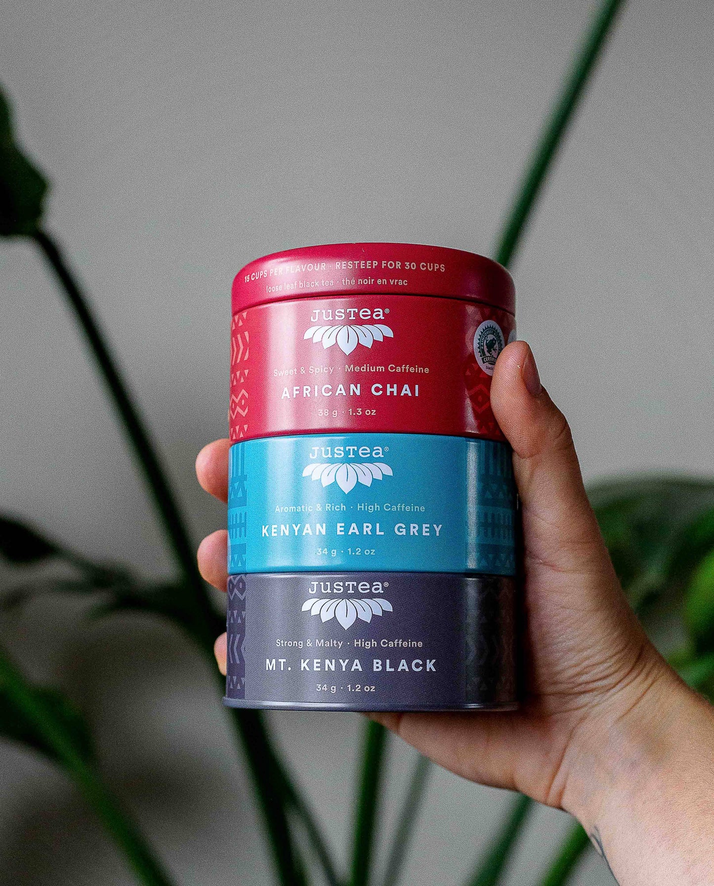 JusTea - Black Tea Trio Tin & Spoon - Organic, Fair-Trade Tea Gift