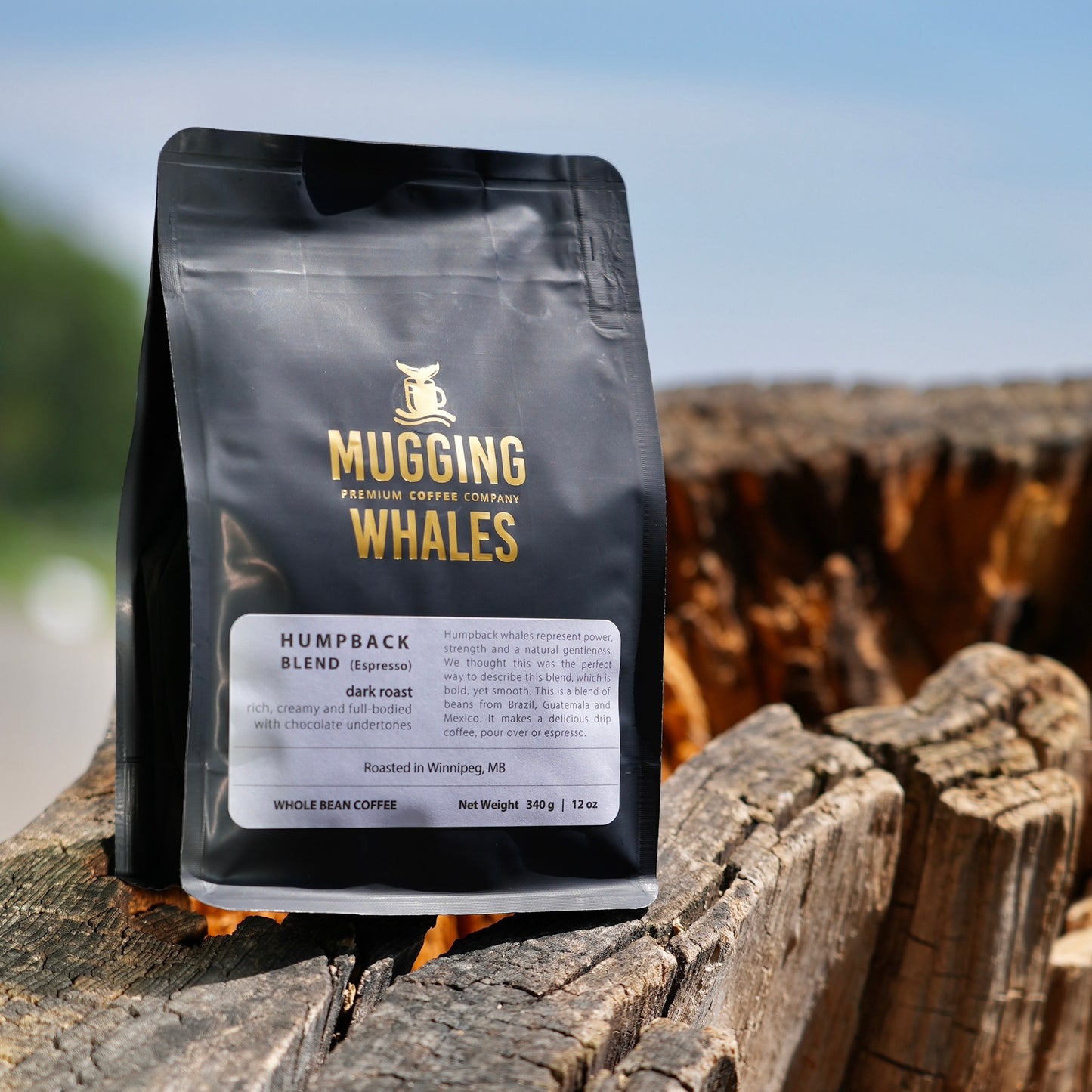 Mugging Whales Coffee