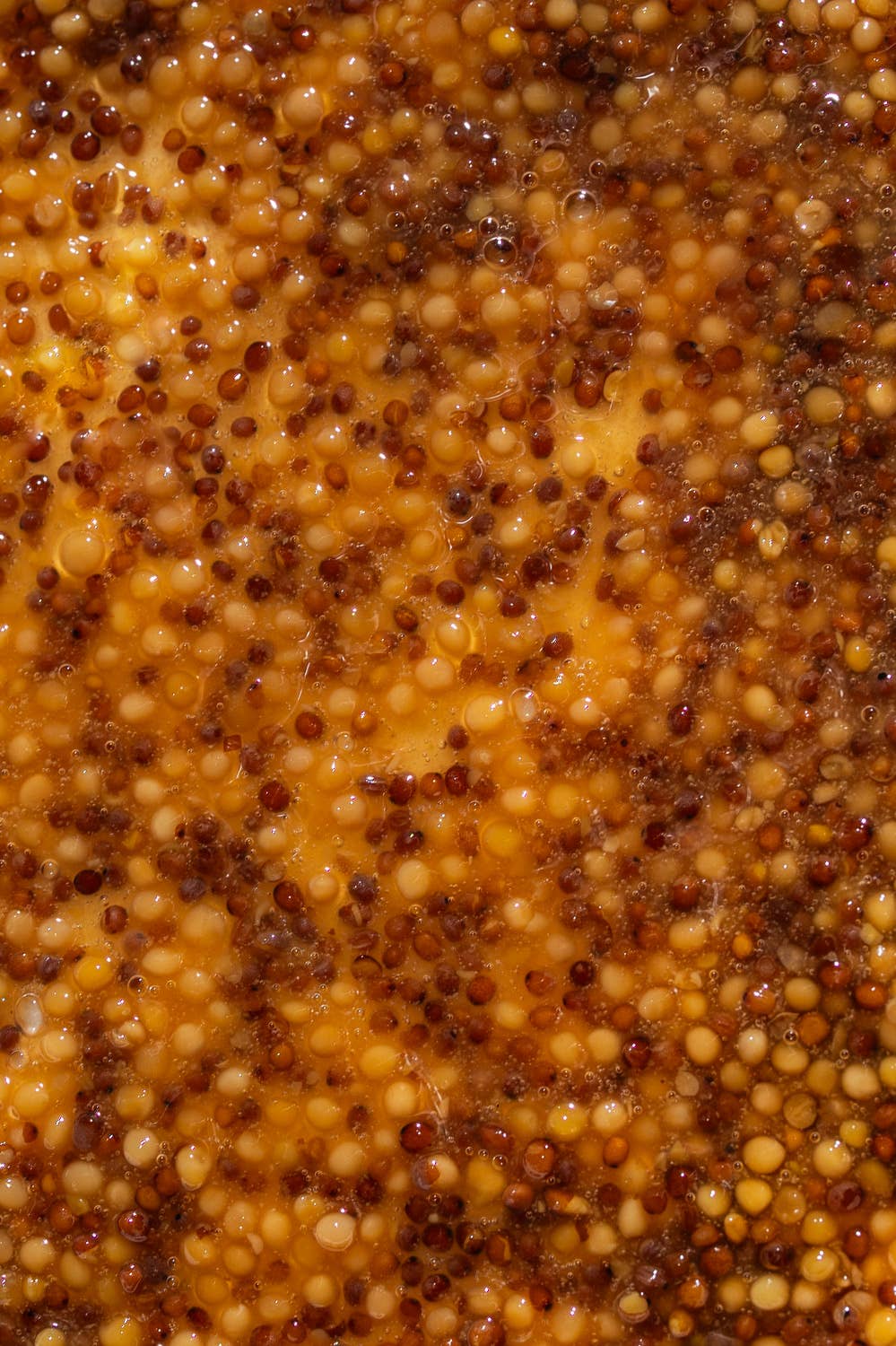 Canadian Maple Mustard