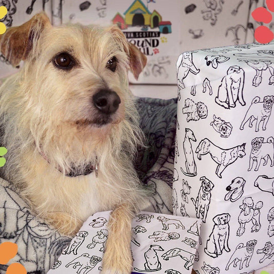 Dogs Gift Wrap 24"x36" Sheet