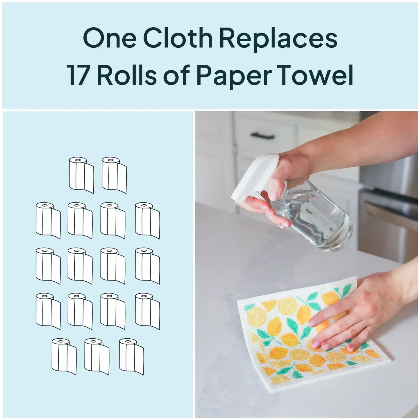 Blueberries - Swedish Dishcloths