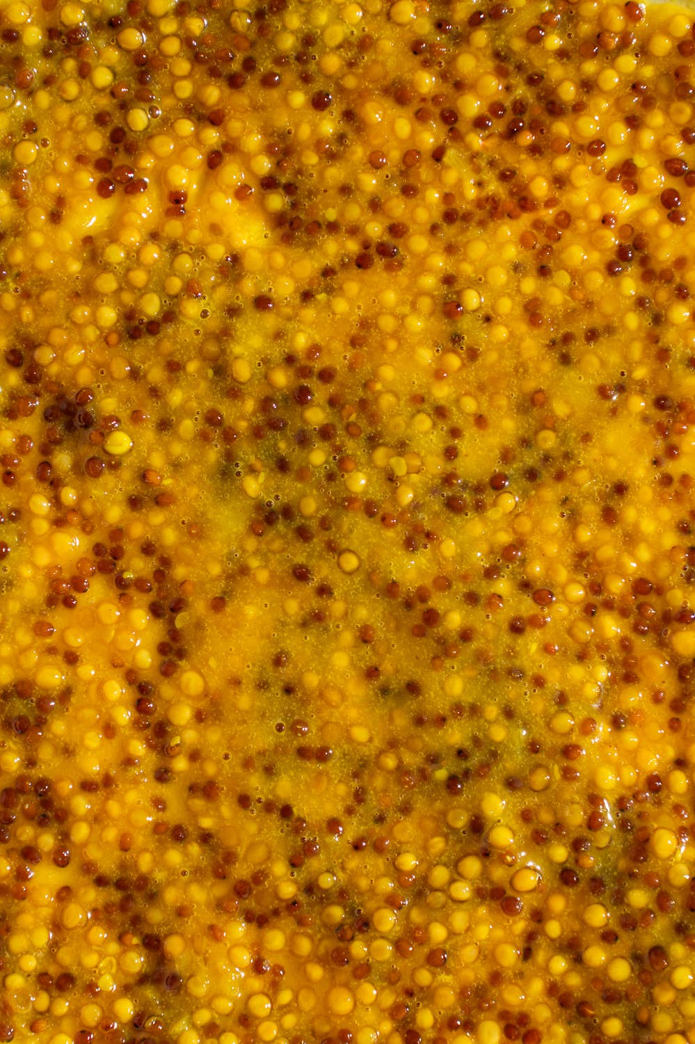 Honey Horseradish Mustard