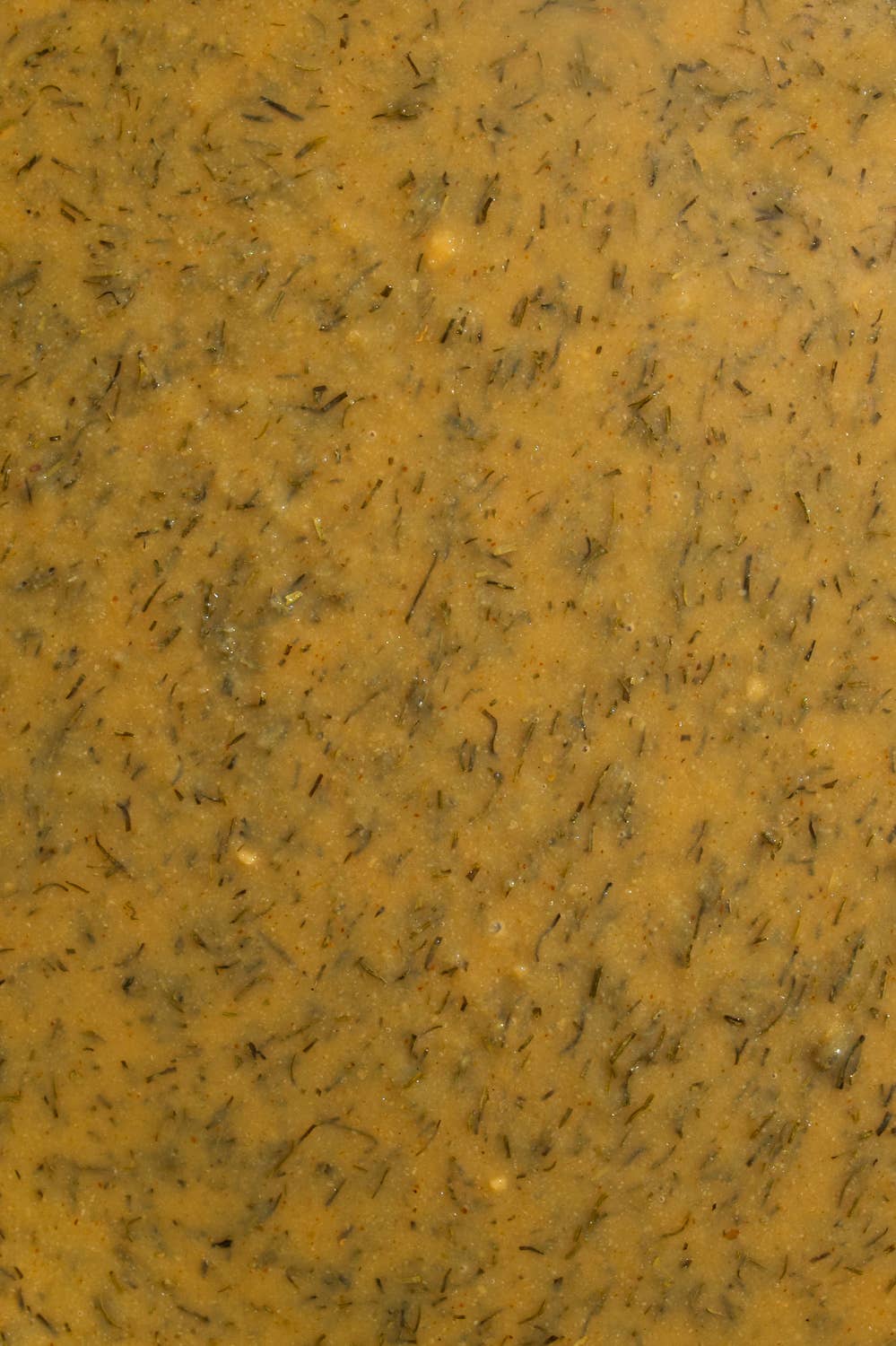 Hot and Sweet Dill Mustard
