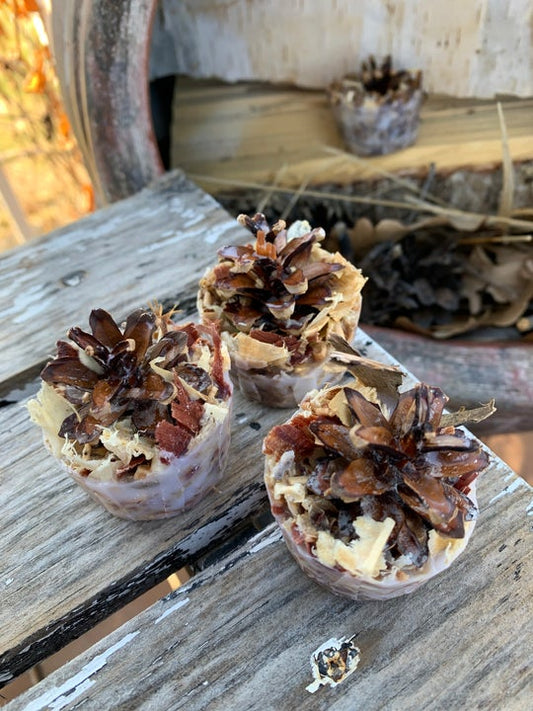 Pine Cone Fire Starter