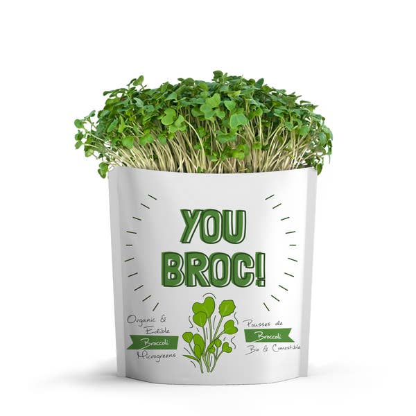 Gift-A-Green Microgreen Greeting Cards