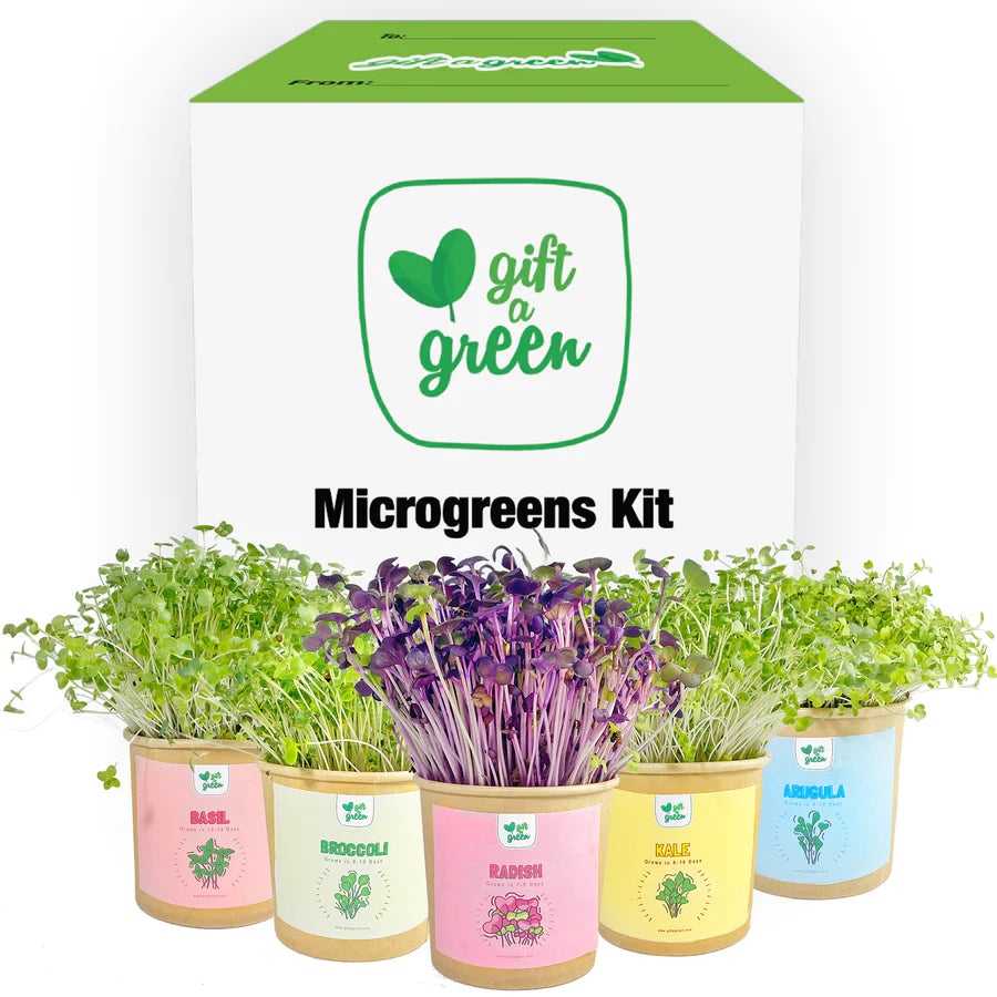 Gift-A-Green Microgreen Greeting Cards